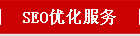 SEO服务